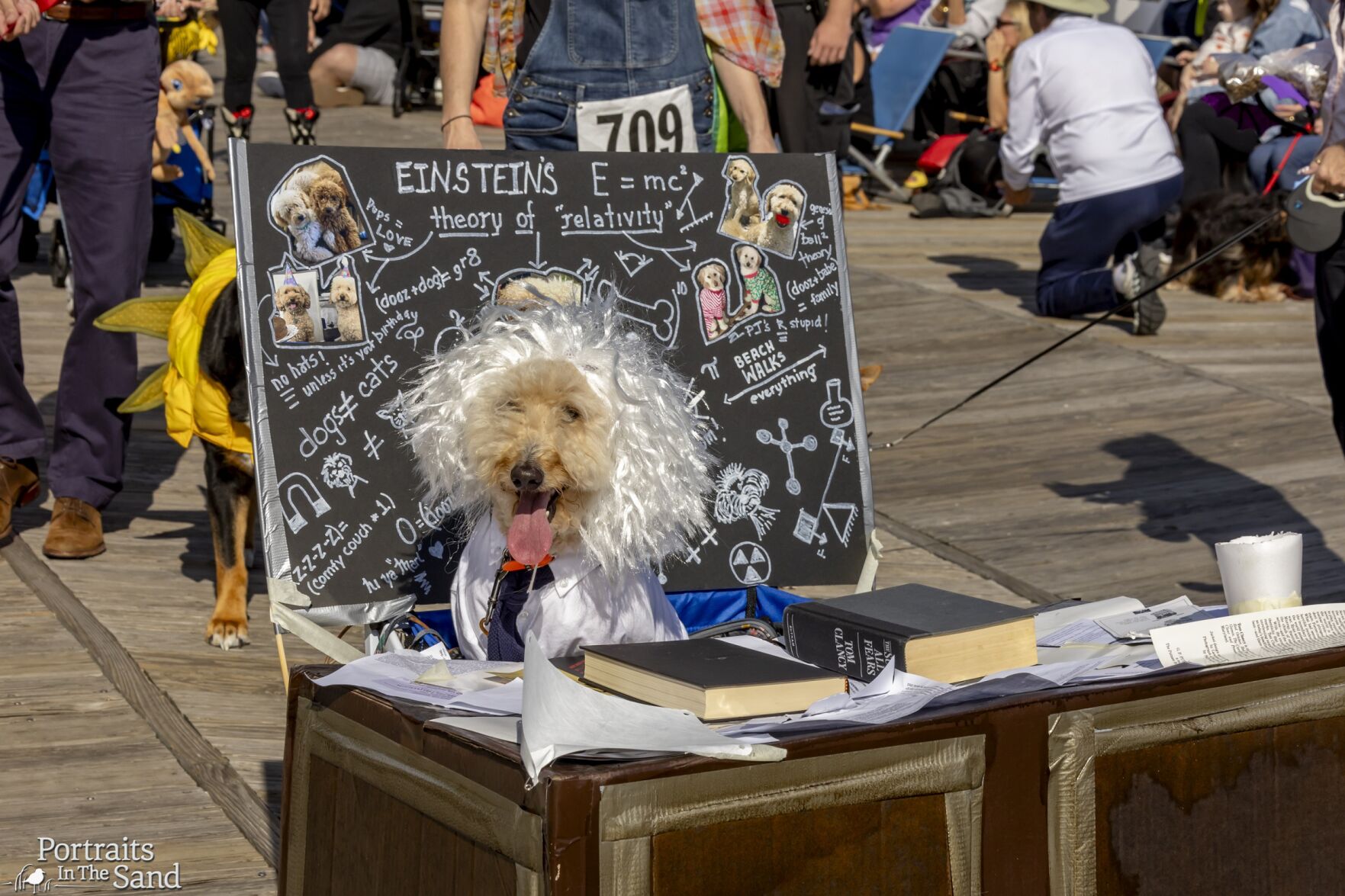 Dog Costume